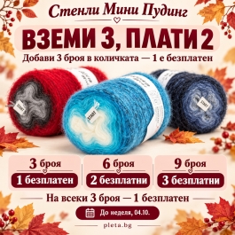 Мини Пудинг